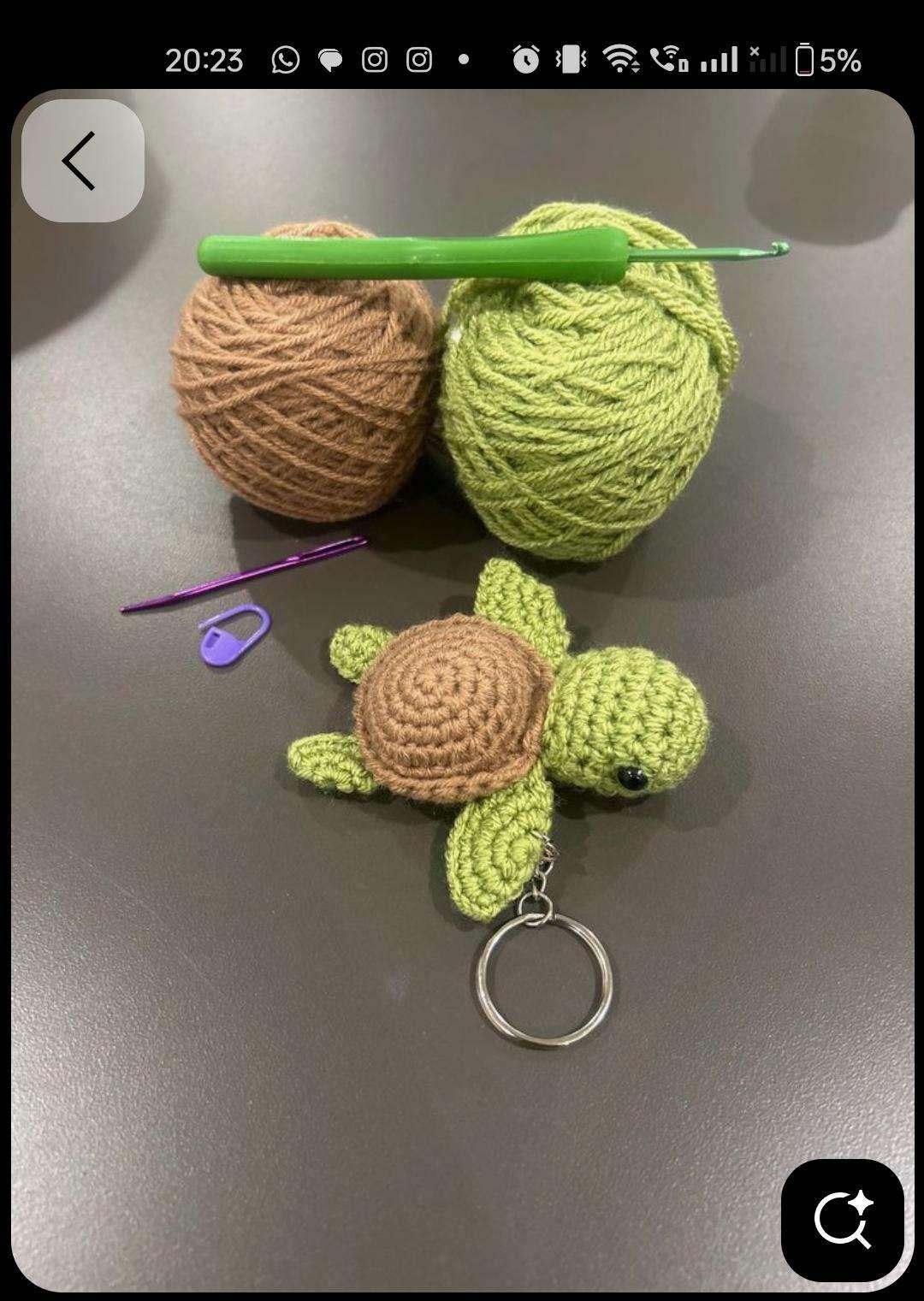 Mini tortoise - Image 1